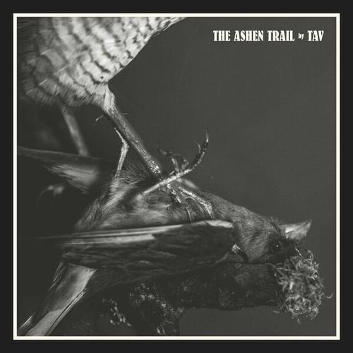 Tav - The Ashen Trail (2024)