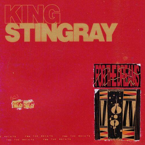 King Stingray - For The Dreams (2024)
