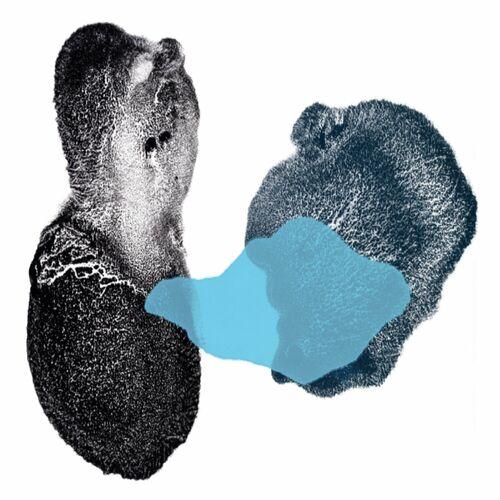 King Of Sweden - Out of the Tunnel (2024) 320|FLAC