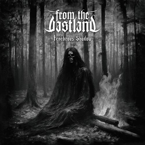 From The Vastland - Tenebrous Shadow (2024)