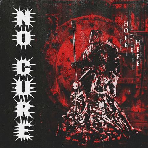 No Cure - I Hope I Die Here (2024) 320|FLAC