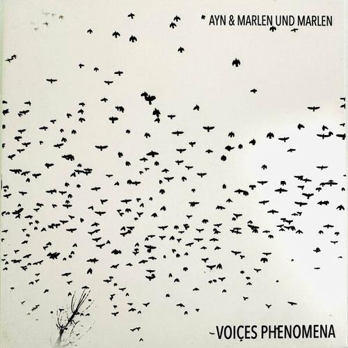 AYN & MARLEN UND MARLEN - VOICES PHENOMENA (2025)