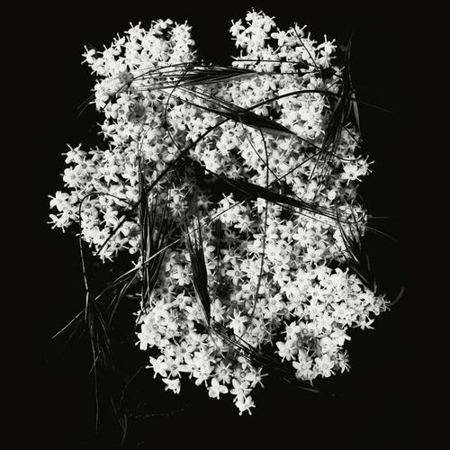 Membrane - Deathly Silence (2025) 320|FLAC