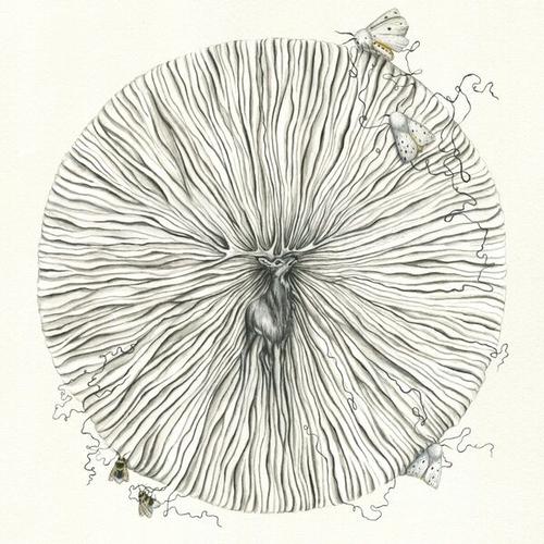 Danefae - Trøst (2025)