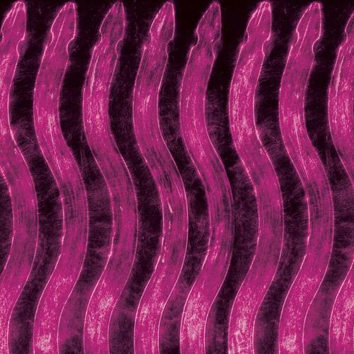 Erode The Dream - Neon Nightmares (2025)