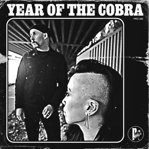 Year of the Cobra - Year of the Cobra (2025) 320|FLAC