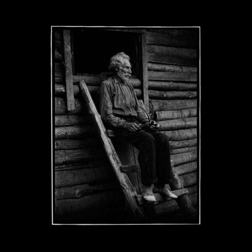 Fields of Mildew - IV (2025)