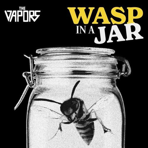 The Vapors - Wasp in a Jar (2025) 320|FLAC