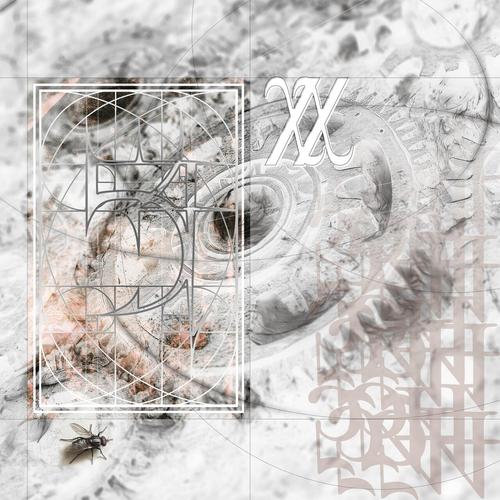 54 - XX (2025) 320|FLAC