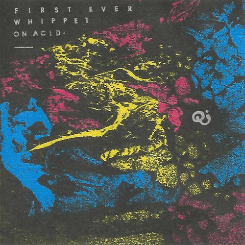 Quinine - First Ever Whippet On Acid (2025) 320|FLAC