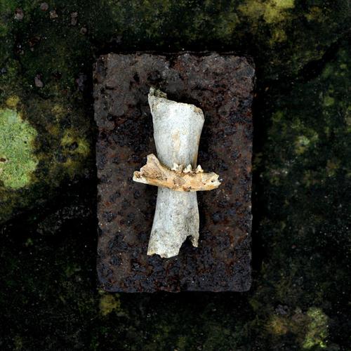 Nomadic Rituals - Fust (2025)