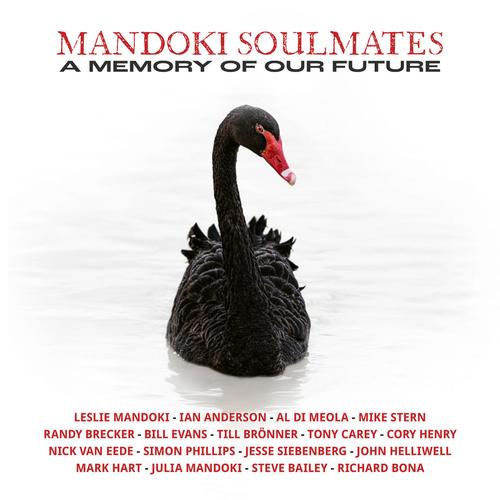 ManDoki Soulmates - A Memory Of Our Future (Deluxe Edition) (2025) 320|FLAC