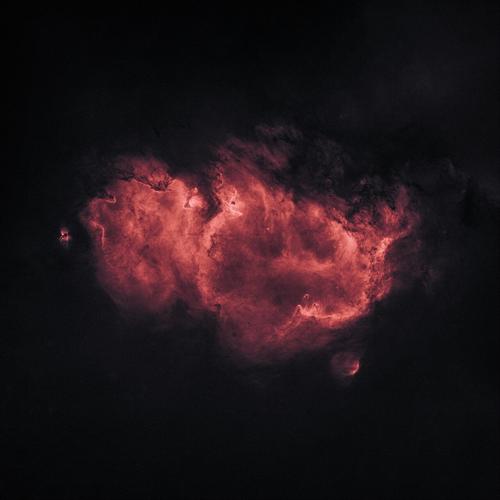 Serial Hawk - Psychic Pain (2025) 320|FLAC