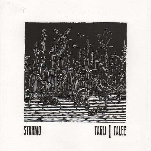 Stormo - Tagli/Talee (2025) 320|FLAC