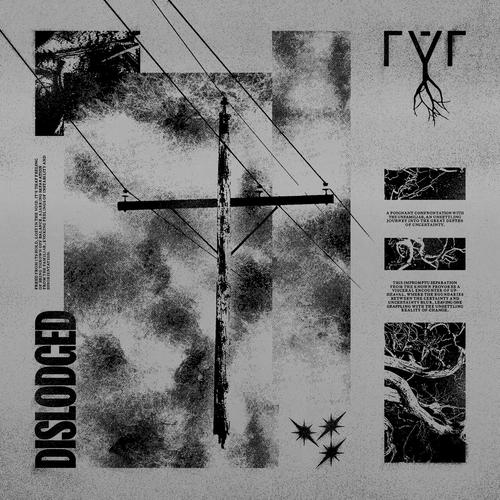 ryr - dislodged (2025) 320|FLAC