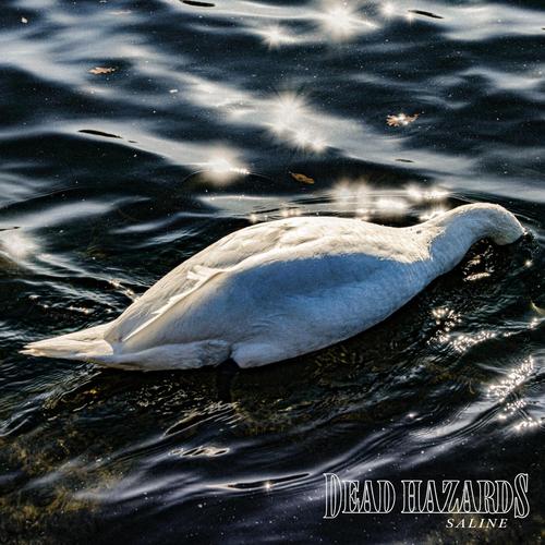 Dead Hazards - Saline (2025) 320|FLAC
