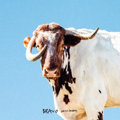 Sexy Zebras - Bravo (2025) 320|FLAC