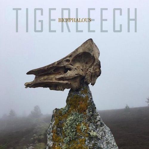 Tigerleech - Bicephalous (2025) 320|FLAC