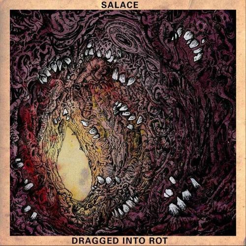 Salace - Dragged into Rot (2025)