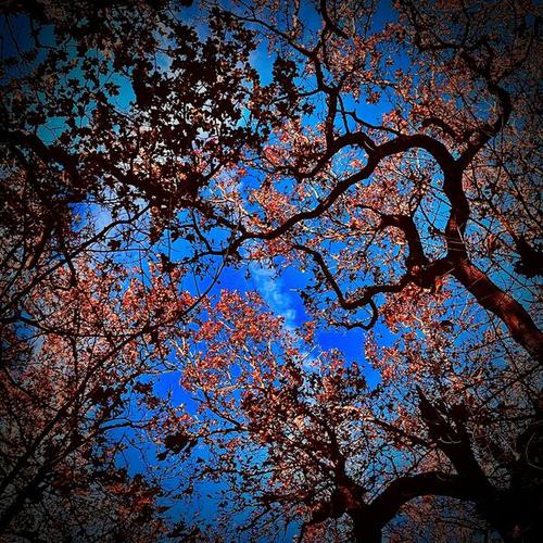 Jerky Dirt - Entropy (2025)