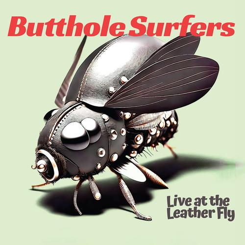 Butthole Surfers - Live at the Leather Fly (2025)