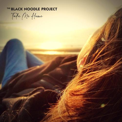 The Black Noodle Project - Take Me Home [ep] (2025) 320|FLAC