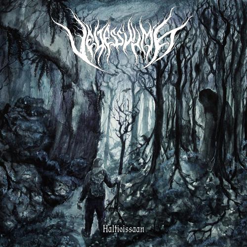 Veljessurma - Haltioissaan (2025)