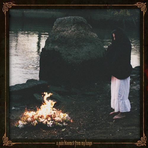 Lastima - A Pain Bloomed from My Lungs (2025)