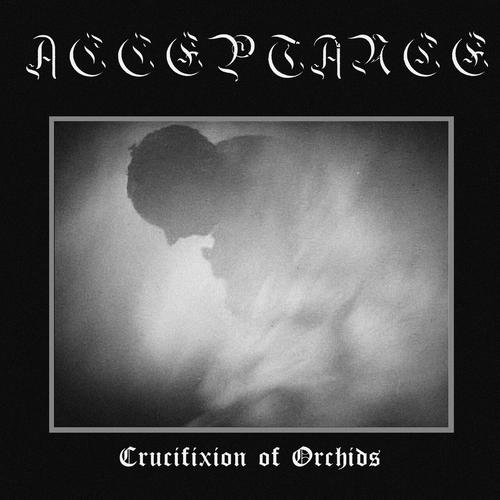 Acceptance - Crucifixion of Orchids (2025)