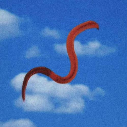 Cudney - Worms III (2025)