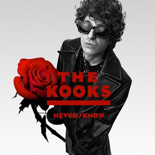 The Kooks - Never/Know  (2025) 320|FLAC