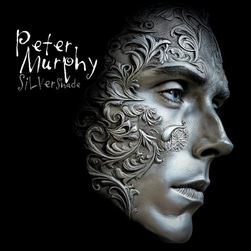 Peter Murphy - Silver Shade (2025) 320|FLAC