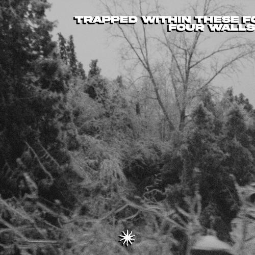 Born from Pain - Trapped Within These Four Walls (2025) 320|FLAC