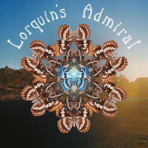 Lorquin's Admiral - Lorquin’s Admiral (2025)