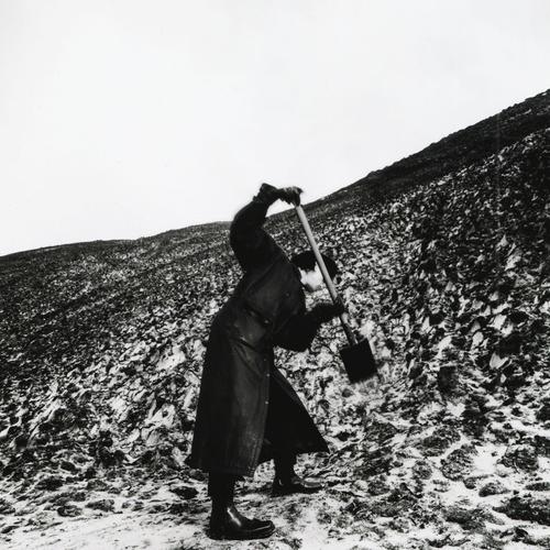 Drangsal - Aus keiner meiner Brücken die in Asche liegen ist je ein Phönix emporgestiegen (2025) 320|FLAC