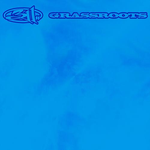 311 - Grassroots (30th Anniversary Edition) (2024) 320|FLAC