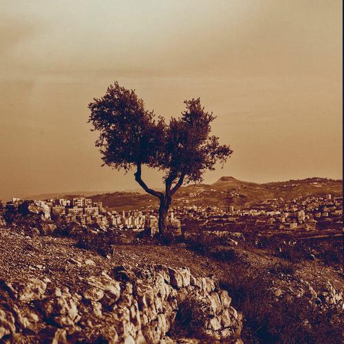 Mamaleek - Cadejos + Those Who Pass Between Fleeting Words (Remastered 2025) (2025) 320|FLAC