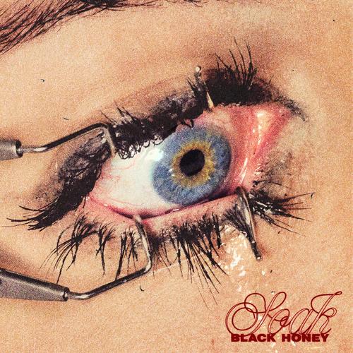 Black Honey - Soak (2025)