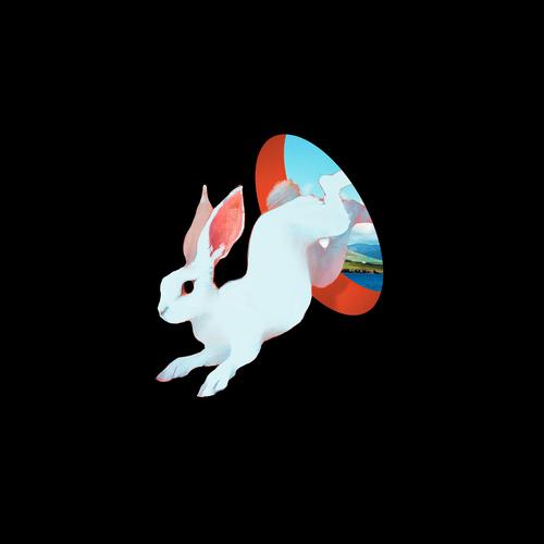 Ganser - Animal Hospital (2025)