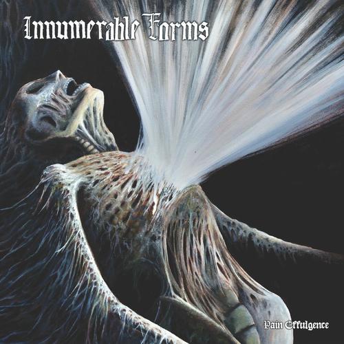 Innumerable Forms - Pain Effulgence (2025) 320|FLAC
