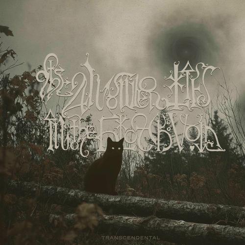 THE ANSWER LIES IN THE BLACK VOID - Transcendental (2025) 320|FLAC