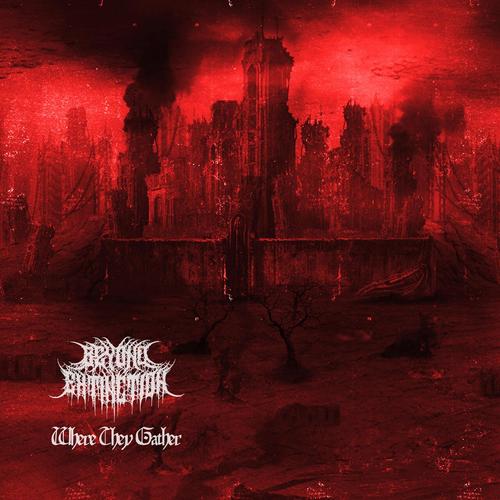 Beyond Extinction - Where They Gather (2025)