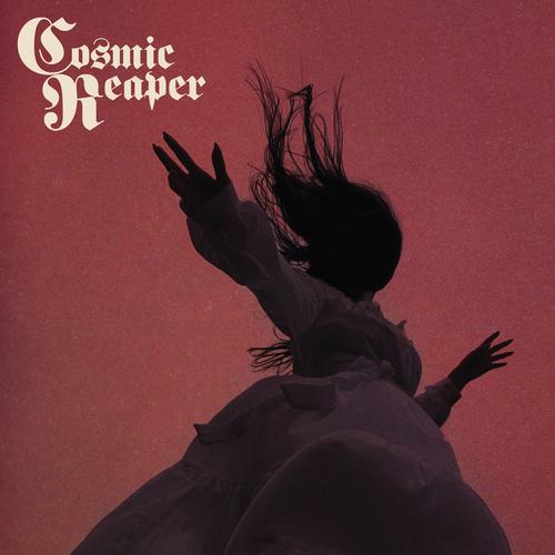 Cosmic Reaper - Bleed The Wicked, Drown The Damned (2025) 320|FLAC