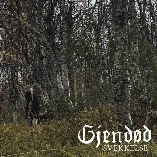 Gjendod - Svekkelse (2025) 320|FLAC