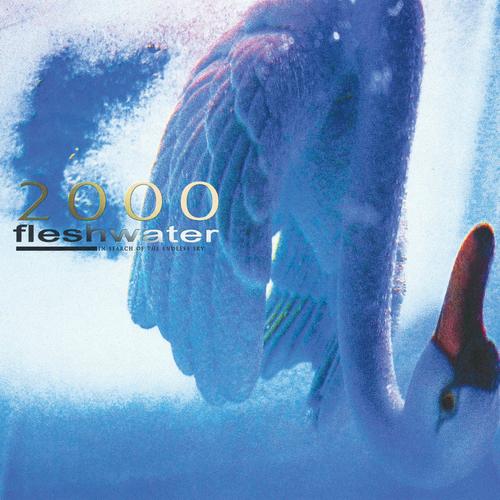 Fleshwater - 2000: In Search Of The Endless Sky (2025) 320|FLAC
