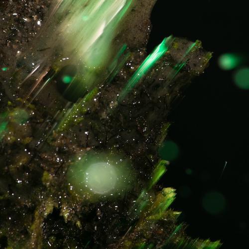 Abraham - IDSUNGWÜSSÄ (2025) 320|FLAC