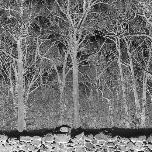 Pile - Sunshine and Balance Beams [10 Tracks Edition] (2025) 320|FLAC, CD