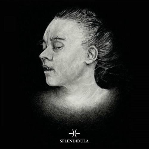 Splendidula - Post Mortem (2018) 320|FLAC