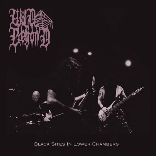 Wild Beyond - Black Sites in Lower Chambers (2025)