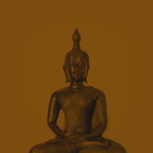 Dhyana - Arahant (2025)